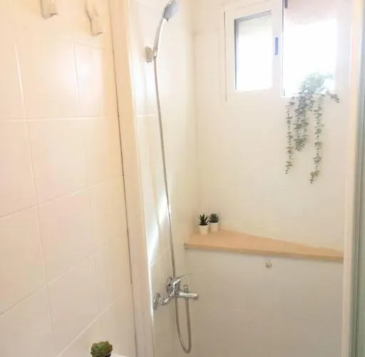 Estudio Don Antonio En El Centro De