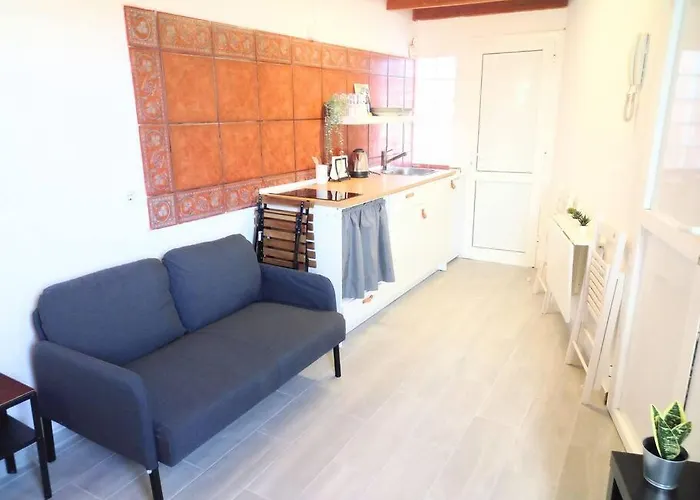 Estudio Don Antonio En El Centro De *